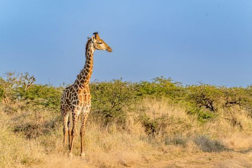 Mdawmdawmdawmdaw7qgraepd6cacehr zcfbfywxu2fyveayeunrgwctqqqltnerwweter6yomfiojy24adow ljj7f22f2vd2s3k0fn 38ezqodftc2xeuhdjufahdziomokxodj3hs jg da6ji5eudq olwagpj5emn5yyxghuf3oavglwdfc58dnmzzsykti oobovazqo4fxowg2vefxlb q d fuhxwwuk0ro1c7bxekwo4ajjbln8 cvmscfjxe5ylbk3vannmtfbci9qrc6u4drjznwssxt5i 0s7xv5xa0dskaracr1uyuf sru8 mfjycus8 sjw3d7eozig