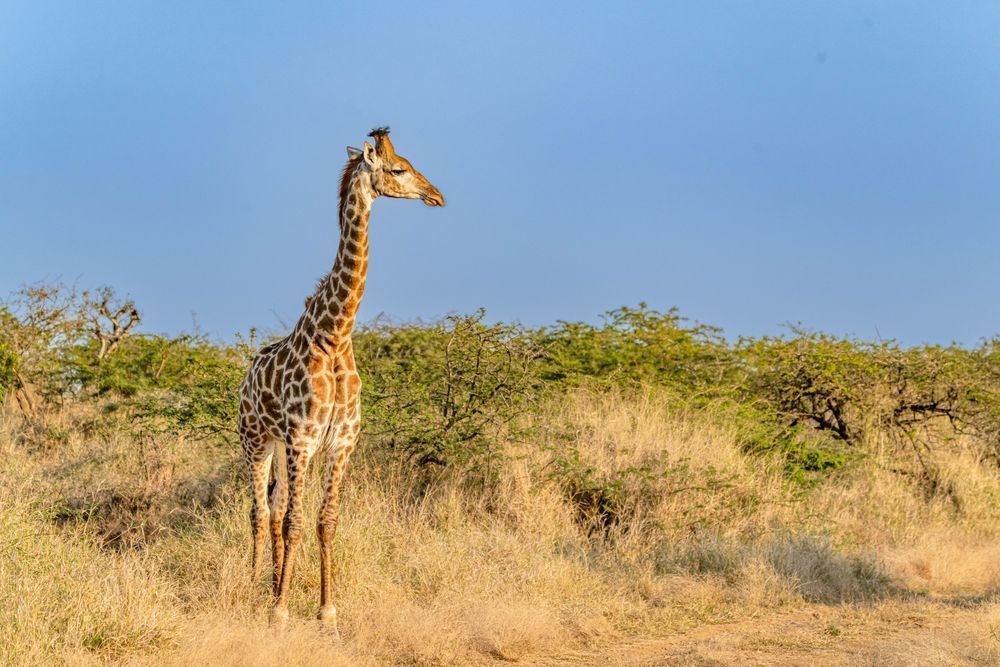 Solo Adventure Photography Art | kramkranphoto