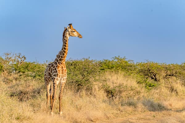 Solo Adventure Photography Art | kramkranphoto