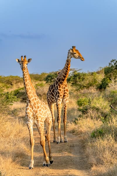 Two Is Company Photography Art | kramkranphoto