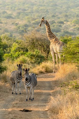 Mdawmdawmdawmdaw7qgraepd6cacehr zcfbfywxu2fyveayeunrgwctqqqltnerwweter6yomfiojy24adow ljj7f22f2vd2s3k0fn 38ezqodftc2xeuhdjufahdziomokxodj3hs jg da6ji5eudq olwagpj5emn5yyxghuf3oavglwdfc58dnmzzsykti oobovazqowsxowsx60jgwh q d fuhxwwqk3ro1c7bxekwo4ajjbln8 cvmscfjxe5ylbk3vannmtfbci9qrc6u4drjznwssxt5i 0s7xv5xa0dskaracr1uyuf sruxpw7 cujjbov08ypqkhmvq