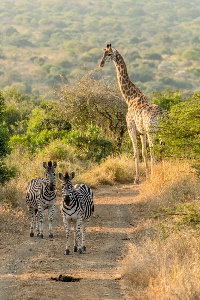African Scenes Photography Art | kramkranphoto