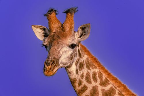 Mdawmdawmdawmdaw7qgraepd6cacehr zcfbfywxu2fyveayeunrgwctqqqltnerwweter6yomfiojy24adow ljj7f22f2vd2s3k0fn 38ezqodftc2xeuhdjufahdziomokxodj3hs jg da6ji5eudq olwagpj5emn5yyxghuf3oavglwdfc58dnmzzsykti oobovazqowawuwo2o0ewe9 q d fuhxwwqk07o1c7bxekwo4ajjbln8 cvmscfjxe5ylbk3vannmtfbci9qrc6u4drjznwssxt5i 0s7xv5xa0dskaracr1uyuf sru qsmjwxuzmfvblcofqzhtq