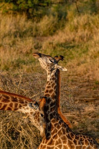 Mdawmdawmdawmdaw7qgraepd6cacehr zcfbfywxu2fyveayeunrgwctqqqltnerwweter6yomfiojy24adow ljj7f22f2vd2s3k0fn 38ezqodftc2xeuhdjufahdziomokxodj3hs jg da6ji5eudq olwagpj5emn5yyxghuf3oavglwdfc58dnmzzsykti oobovazqe0dx wl0 rnx1d q d fuhxwwqo2bo1c7bxekwo4ajjbln8 cvmscfjxe5ylbk3vannmtfbci9qrc6u4drjznwssxt5i 0s7xv5xa0dskaracr1uyuf sru1odw0ywtdqeqhsgwz6tzug