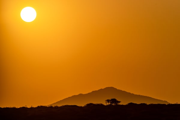 African Daze Photography Art | kramkranphoto