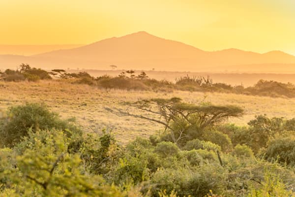 Golden Kwa Zulu Photography Art | kramkranphoto