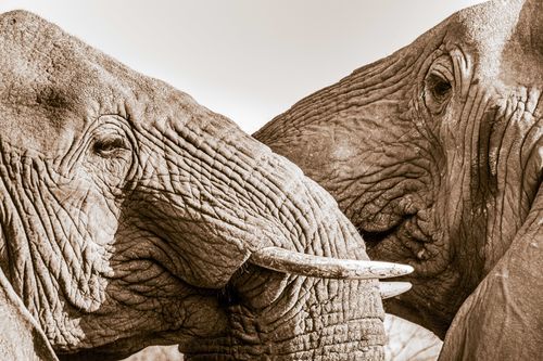 Mdawmdawmdawmdaw7qgraepd6cacehr zcfbfywxu2fyveayeunrgwctqqqltnerwweter6yomfiojy24adow ljj7f22f2vd2s3k0fn 38ezqodftc2xeuhdjufahdziomokxodj3hs jg da6ji5eudq olwagpj5emn5yyxghuf3oavglwdfc58dnmzzsykti oobovazr 0cyp579vtlvl077fn4eepzzgac36trlbujwuxwsb3 frtg7cd1us swvi zmb2lrs3ltwwqo8gdy u x8rzjhrshl4mldi b98qb9g vmmzzynro8atelunfavnszkxqweiwrxkh4wiymm