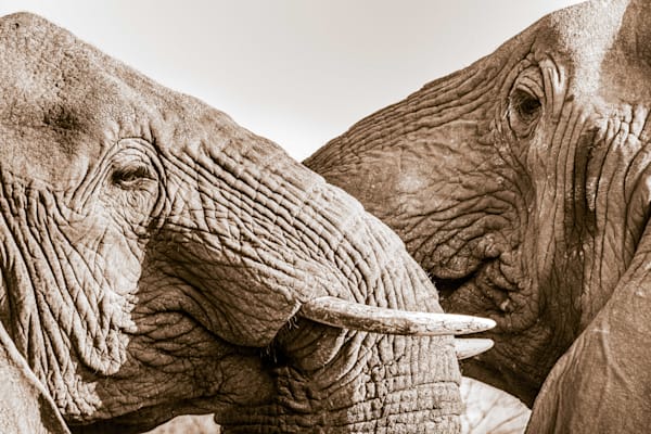 Love Of The Child Photography Art | kramkranphoto