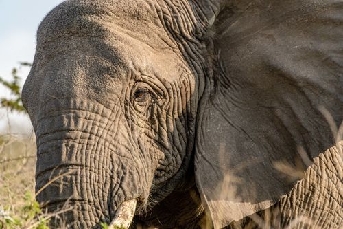 Mdawmdawmdawmdaw7qgraepd6cacehr zcfbfywxu2fyveayeunrgwctqqqltnerwweter6yomfiojy24adow ljj7f22f2vd2s3k0fn 38ezqodftc2xeuhdjufahdziomokxodj3hs jg da6ji5eudq olwagpj5emn5yyxghuf3oavglwdfc58dnmzzsykti oobovazr 0dxow9mu4tru5 q d fuhxwwul2lo1c7bxekwo4ajjbln8 cvmscfjxe5ylbk3vannmtfbci9qrc6u4drjznwssxt5i 0s7xv5xa0dskaracr1uyuf sruz6buqzsdgwlww5atfzl bw