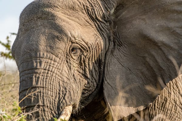 Mom's Gaze Photography Art | kramkranphoto