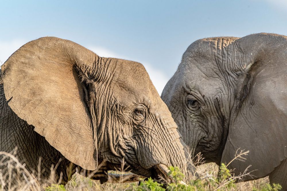 The Mom Makes The Daughter Shine Photography Art | kramkranphoto