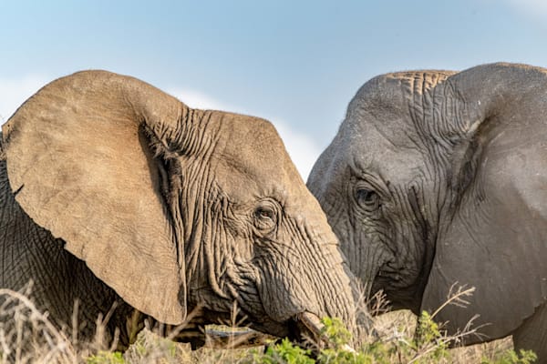 The Mom Makes The Daughter Shine Photography Art | kramkranphoto