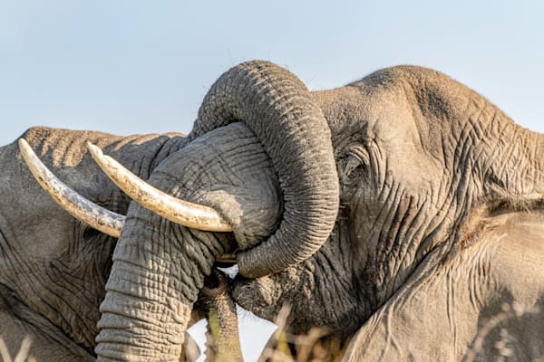 Give Mom A Hug! Photography Art | kramkranphoto