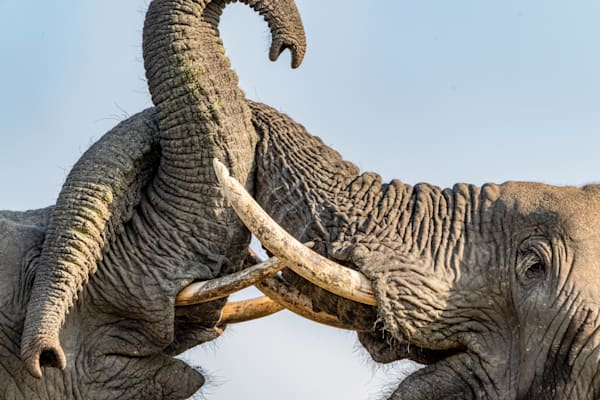 Titanic Trunks Photography Art | kramkranphoto
