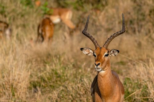 Mdawmdawmdawmdaw7qgraepd6cacehr zcfbfywxu2fyveayeunrgwctqqqltnerwweter6yomfiojy24adow ljj7f22f2vd2s3k0fn 38ezqodftc2xeuhdjufahdziomokxodj3hs jg da6ji5eudq olwagpj5emn5yyxghuf3oavglwdfc58dnmzzsykti oobovazr kyy wr3q1owuz q d fuhxwwui37o1c7bxekwo4ajjbln8 cvmscfjxe5ylbk3vannmtfbci9qrc6u4drjznwssxt5i 0s7xv5xa0dskaracr1uyuf srusi12lcf0gokzkjpftlvygq