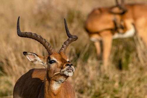 Mdawmdawmdawmdaw7qgraepd6cacehr zcfbfywxu2fyveayeunrgwctqqqltnerwweter6yomfiojy24adow ljj7f22f2vd2s3k0fn 38ezqodftc2xeuhdjufahdziomokxodj3hs jg da6ji5eudq olwagpj5emn5yyxghuf3oavglwdfc58dnmzzsykti oobovazr kexow92ekdgu5 q d fuhxwwuk2lo1c7bxekwo4ajjbln8 cvmscfjxe5ylbk3vannmtfbci9qrc6u4drjznwssxt5i 0s7xv5xa0dskaracr1uyuf sru5gyxkhecovisvtd3crqbra