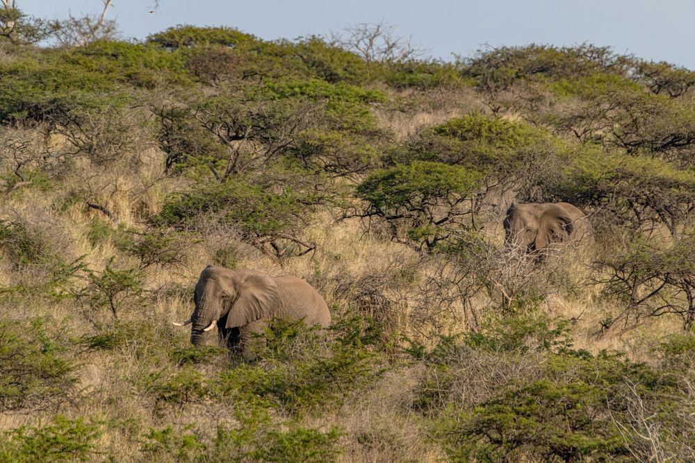 Landscapes Of Africa Photography Art | kramkranphoto