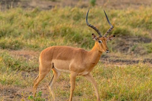 Mdawmdawmdawmdaw7qgraepd6cacehr zcfbfywxu2fyveayeunrgwctqqqltnerwweter6yomfiojy24adow ljj7f22f2vd2s3k0fn 38ezqodftc2xeuhdjufahdziomokxodj3hs jg da6ji5eudq olwagpj5emn5yyxghuf3oavglwdfc58dnmzzsykti oobovazroysxowky 4mwud q d fuhxwwco07o1c7bxekwo4ajjbln8 cvmscfjxe5ylbk3vannmtfbci9qrc6u4drjznwssxt5i 0s7xv5xa0dskaracr1uyuf srulqn6h08cgu9tskyudfncsa