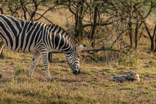 Mdawmdawmdawmdaw7qgraepd6cacehr zcfbfywxu2fyveayeunrgwctqqqltnerwweter6yomfiojy24adow ljj7f22f2vd2s3k0fn 38ezqodftc2xeuhdjufahdziomokxodj3hs jg da6ji5eudq olwagpj5emn5yyxghuf3oavglwdfc58dnmzzsykti oobovazregyxowuwu8psq9 q d fuhxwwyl27o1c7bxekwo4ajjbln8 cvmscfjxe5ylbk3vannmtfbci9qrc6u4drjznwssxt5i 0s7xv5xa0dskaracr1uyuf srumaj9 iq p26 r fqrx4nnq