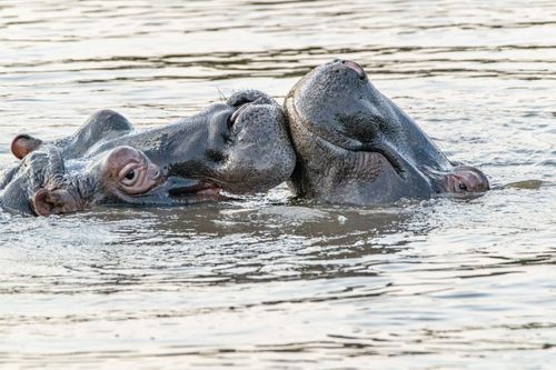 Mdawmdawmdawmdaw7qgraepd6cacehr zcfbfywxu2fyveayeunrgwctqqqltnerwweter6yomfiojy24adow ljj7f22f2vd2s3k0fn 38ezqodftc2xeuhdjufahdziomokxodj3hs jg da6ji5eudq olwagpj5emn5yyxghuf3oavglwdfc58dnmzzsykti oobovazrewcyuwixasqqfr q d fuhxwwcd3lo1c7bxekwo4ajjbln8 cvmscfjxe5ylbk3vannmtfbci9qrc6u4drjznwssxt5i 0s7xv5xa0dskaracr1uyuf sruslc2ni5warzbtgsimvrkjg