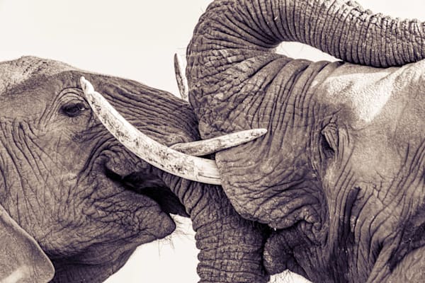 Happy Daughter Photography Art | kramkranphoto