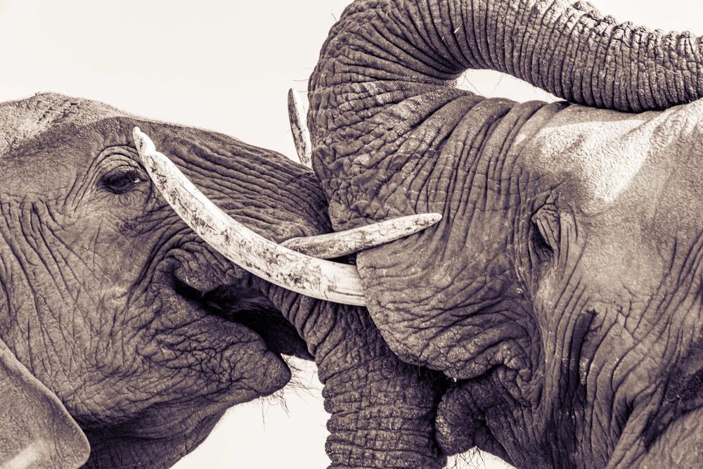 Happy Daughter Photography Art | kramkranphoto