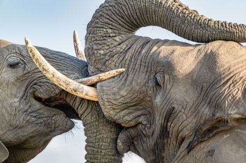 Mdawmdawmdawmdaw7qgraepd6cacehr zcfbfywxu2fyveayeunrgwctqqqltnerwweter6yomfiojy24adow ljj7f22f2vd2s3k0fn 38ezqodftc2xeuhdjufahdziomokxodj3hs jg da6ji5eudq olwagpj5emn5yyxghuf3oavglwdfc58dnmzzsykti oobovazruyywuwn3pslsgh q d fuhxwwyn37o1c7bxekwo4ajjbln8 cvmscfjxe5ylbk3vannmtfbci9qrc6u4drjznwssxt5i 0s7xv5xa0dskaracr1uyuf sru8npz8f4tqfawfh 091fc1a