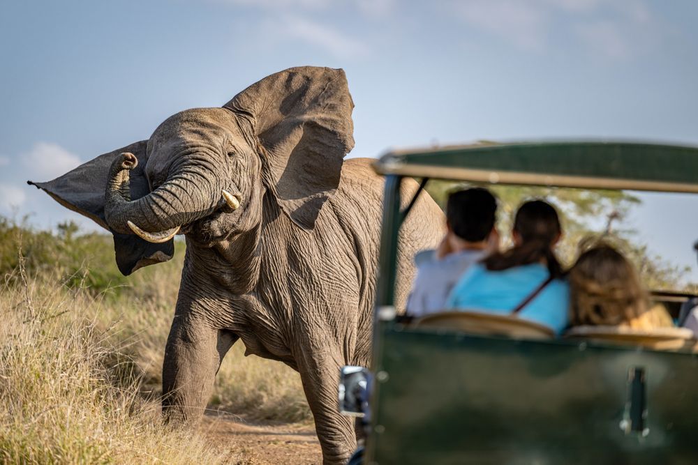 The Mother's Charge Photography Art | kramkranphoto
