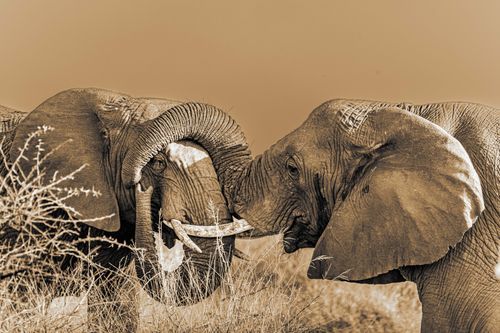 Mdawmdawmdawmdaw7qgraepd6cacehr zcfbfywxu2fyveayeunrgwctqqqltnerwweter6yomfiojy24adow ljj7f22f2vd2s3k0fn 38ezqodftc2xeuhdjufahdziomokxodj3hs jg da6ji5eudq olwagpj5emn5yyxghuf3oavglwdfc58dnmzzsykti oobovazrucey wt0fauh1b q d fuhxwwyp27o1c7bxekwo4ajjbln8 cvmscfjxe5ylbk3vannmtfbci9qrc6u4drjznwssxt5i 0s7xv5xa0dskaracr1uyuf sruhg2ouei7oxi7xv3 piu53q