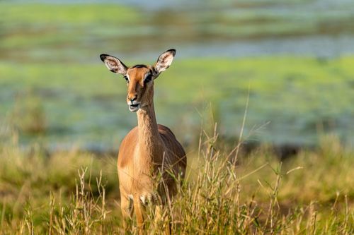 Mdawmdawmdawmdaw7qgraepd6cacehr zcfbfywxu2fyveayeunrgwctqqqltnerwweter6yomfiojy24adow ljj7f22f2vd2s3k0fn 38ezqodftc2xeuhdjufahdziomokxodj3hs jg da6ji5eudq olwagpj5emn5yyxghuf3oavglwdfc58dnmzzsykti oobovazrukyx w wvmgxer q d fuhxwwyj2lo1c7bxekwo4ajjbln8 cvmscfjxe5ylbk3vannmtfbci9qrc6u4drjznwssxt5i 0s7xv5xa0dskaracr1uyuf srusrsk4t asyamykylp9uycg