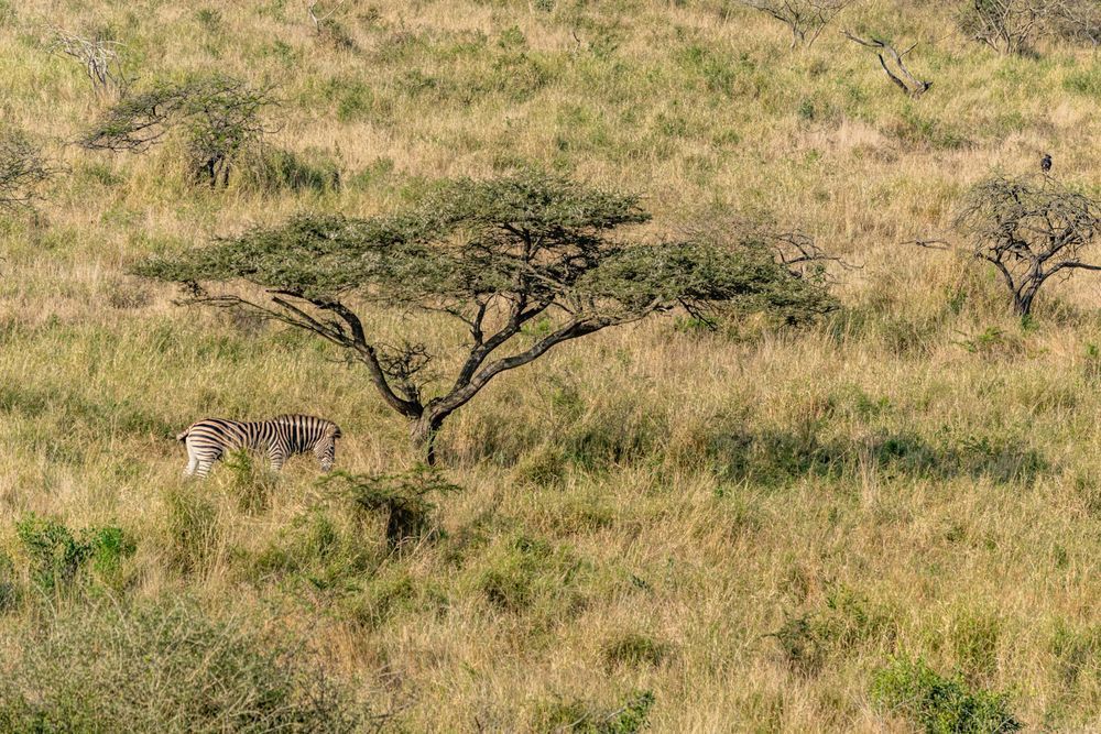 African Landscape Photography Art | kramkranphoto