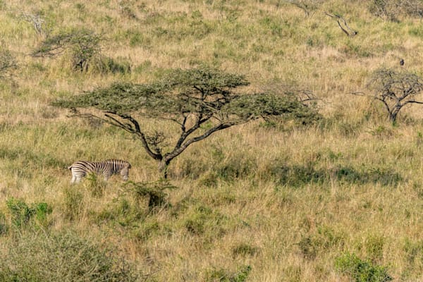 African Landscape Photography Art | kramkranphoto