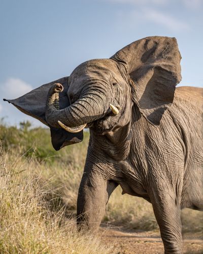 Mdawmdawmdawmdaw7qgraepd6cacehr zcfbfywxu2fyveayeunrgwctqqqltnerwweter6yomfiojy24adow ljj7f22f2vd2s3k0fn 38ezqodftc2xeuhdjufahdziomokxodj3hs jg da6ji5eudq olwagpj5emn5yyxghuf3oavglwdfc58dnmzzsykti oobovazwe11n9c90pshaq9nrof9foz2zgivgo24if3xshwb brrckd 6txuuydviaclbmavba9l153bxsrrrdffudqni9susggzbeom6glrbuyor0xho93 vmhy q6b8md6ciajoi0tvmqyjag