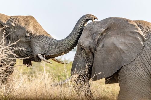 Mdawmdawmdawmdaw7qgraepd6cacehr zcfbfywxu2fyveayeunrgwctqqqltnerwweter6yomfiojy24adow ljj7f22f2vd2s3k0fn 38ezqodftc2xeuhdjufahdziomokxodj3hs jg da6ji5eudq olwagpj5emn5yyxghuf3oavglwdfc58dnmzzsykti oobovazwex1ltx4wa0jaq9nrof9foz2zwuvgo24if3xshwb brrckd 6txuuydviaclbmavba9l153bxsrrrdffudqni9susggzbeom6glrbuyor0xho93 vmhy qtjcugclsumidzqjiglh9a