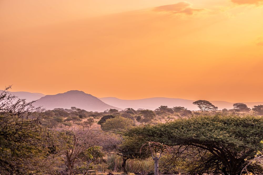 Zulu Gold Photography Art | kramkranphoto