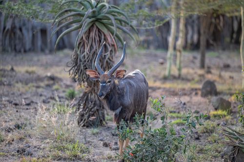 Mdawmdawmdawmdaw7qgraepd6cacehr zcfbfywxu2fyveayeunrgwctqqqltnerwweter6yomfiojy24adow ljj7f22f2vd2s3k0fn 38ezqodftc2xeuhdjufahdziomokxodj3hs jg da6ji5eudq olwagpj5emn5yyxghuf3oavglwfsevjgnkdy3c7d  mrtu gvqowtwitwh mpsrx9ukk7rruxnjxjh yrar69tuxayrkvfkd8 4o9hilpxvqknc5uhgv8ks nejcjhxprtmemismhaeykz 9rh1hd6dkplhykiaagbcjo6dmv