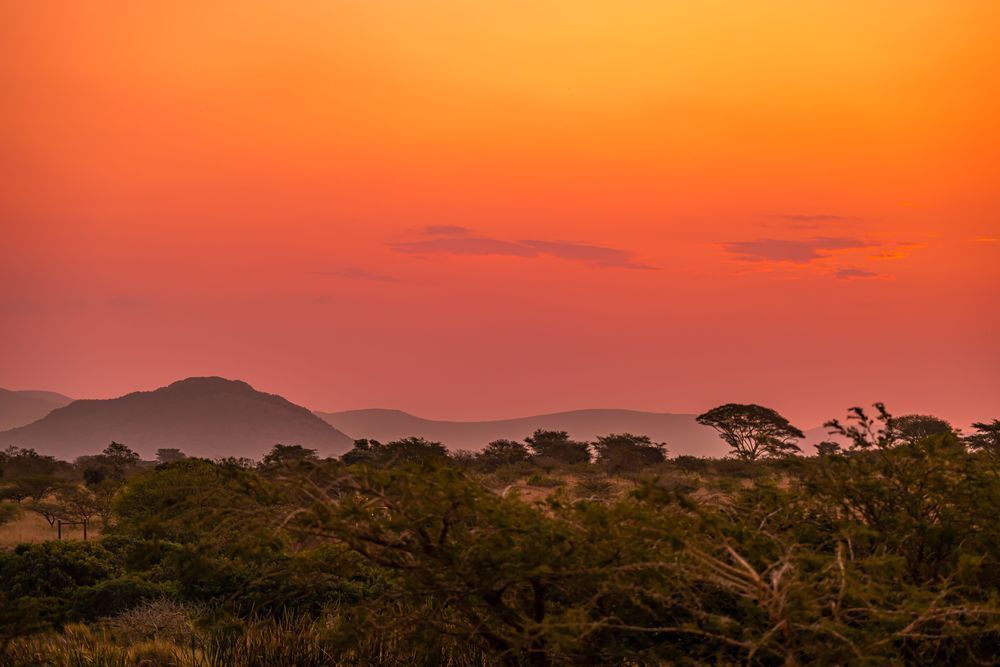 Red Hues Photography Art | kramkranphoto