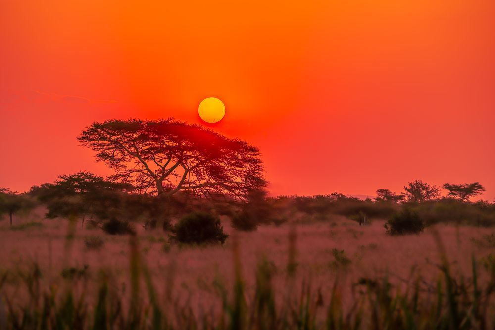 Zulu Sun Photography Art | kramkranphoto