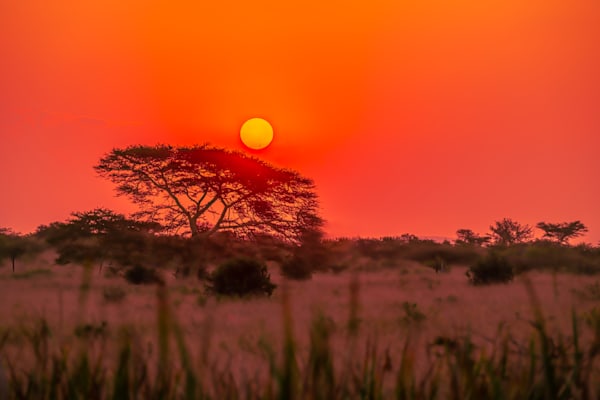 Zulu Sun Photography Art | kramkranphoto