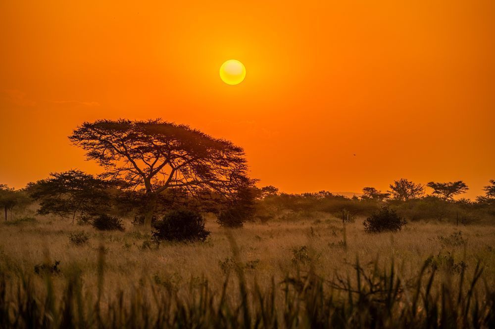 Big Orange Photography Art | kramkranphoto