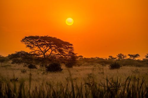 Mdawmdawmdawmdaw7qgraepd6cacehr zcfbfywxu2fyveayeunrgwctqqqltnerwweter6yomfiojy24adow ljj7f22f2vd2s3k0fn 38ezqodftc2xeuhdjufahdziomokxodj3hs jg da6ji5eudq olwagpj5emn5yyxghuf3oavglwfsquprbecp dlc4r91uvpotte0zy50j2f5dahwl6lenvlotij5anvswbalxbdubsar ckuxsyprvspp3798nyophwd9gyxdb50mawgk xirhp zf0whkojrs qcyzg9r87ws4zryucuyq