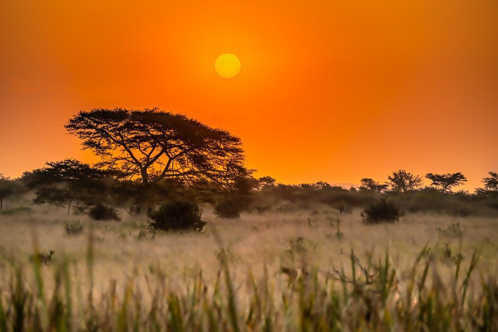 Sunset Of The Zulu Photography Art | kramkranphoto