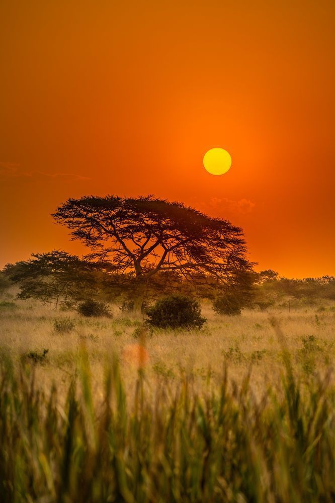 Zulu Sunset Photography Art | kramkranphoto