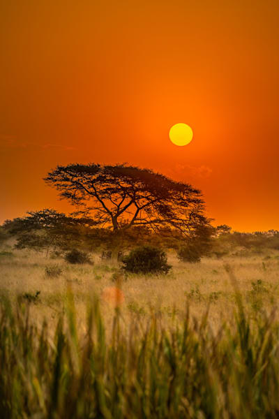 Zulu Sunset Photography Art | kramkranphoto
