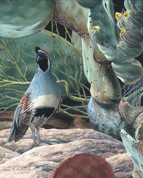 Peter Mathios | Original Wildlife Paintings Inspired by Nature