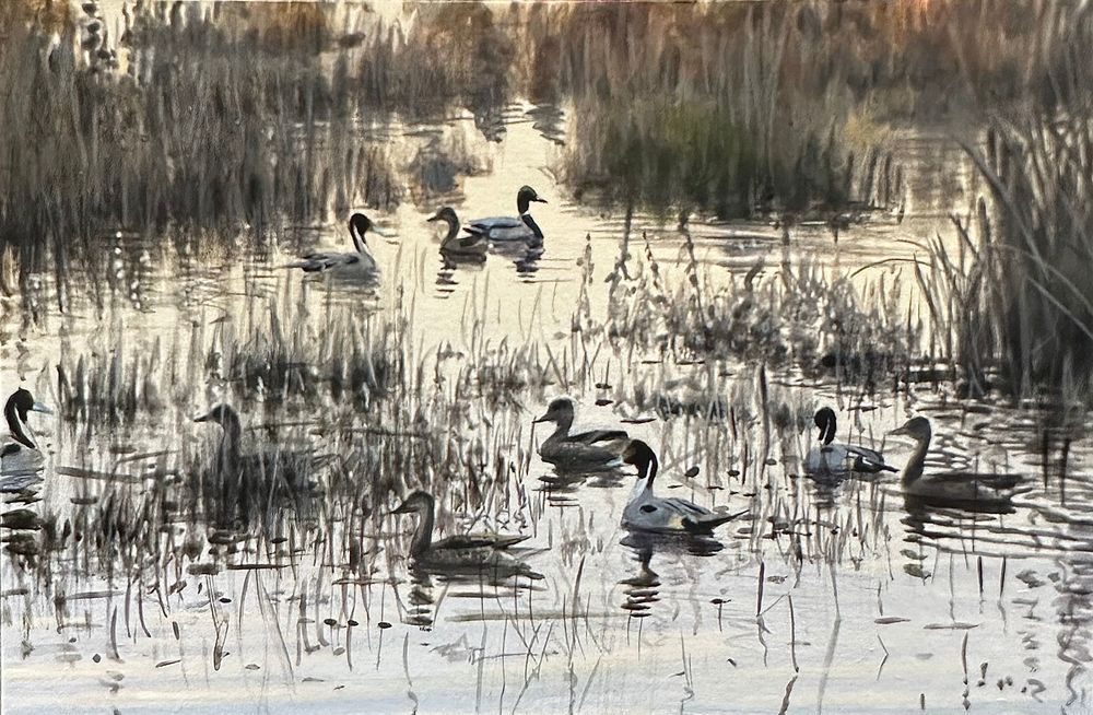 Pintail at Dawn – Original Marsh Painting by Peter Mathios