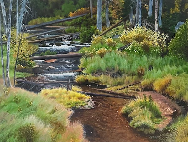 Original Wildlife Paintings by Peter Mathios | Realistic Nature ...