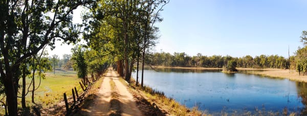 Jungles Of India Photography Art | Fine Balance