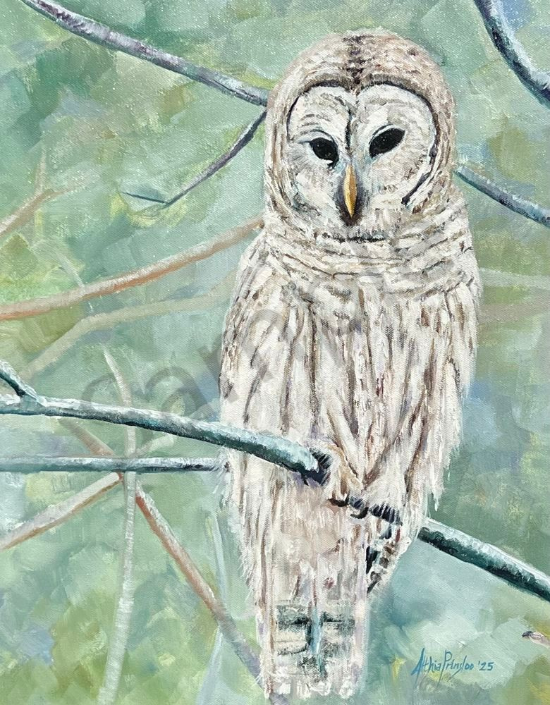 The Watcher In The Stillness Art | Althia Prinsloo Art