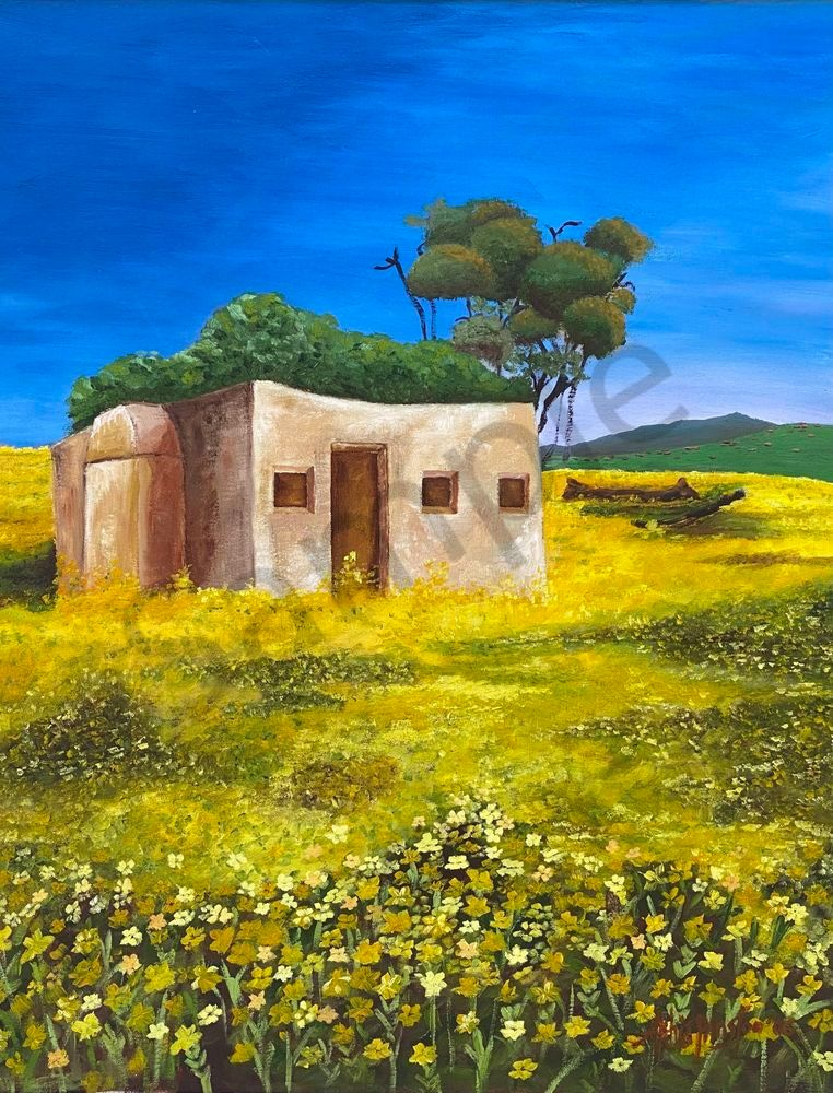 Old African Shed Art | Althia Prinsloo Art